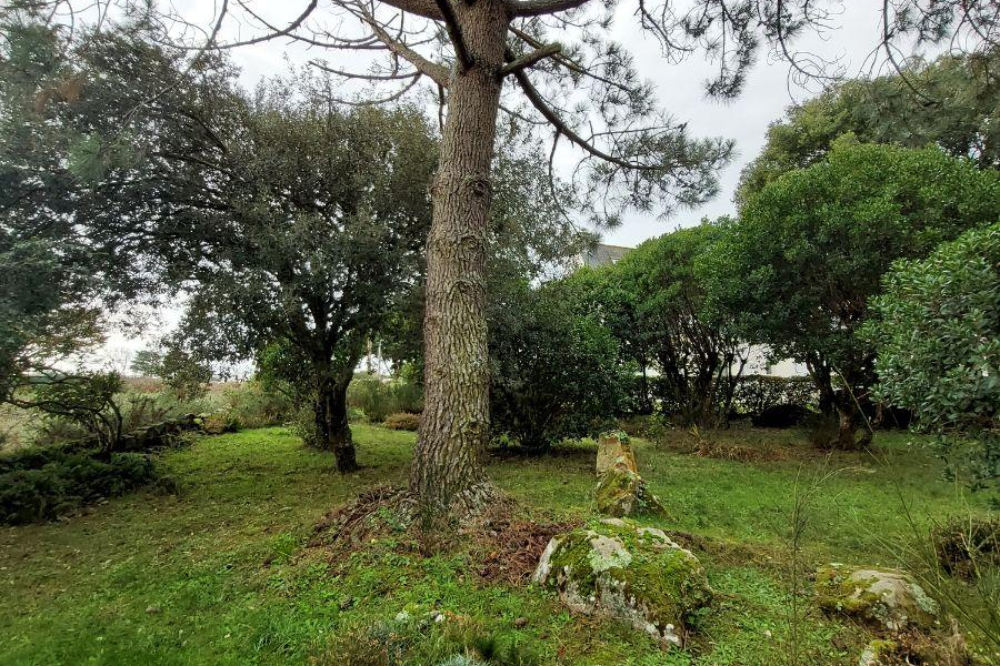 Vente maison, 102 m² à LA TRINITé-SUR-MER (réf. 35009/CM-305) Vente maison, 102 m² à LA TRINITé-SUR-MER (réf. 35009/CM-305) - Photo 7